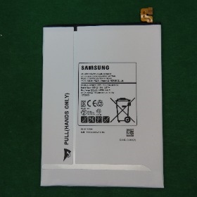 T713N T719C EB-BT710ABA