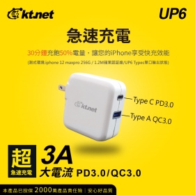 UP6 PD旅行兩用充電器 TYPEC+QC3.0 45W 支援PD3.0及QC3.0 快速充電 折疊式插頭 (022215250111) 多孔充電頭 